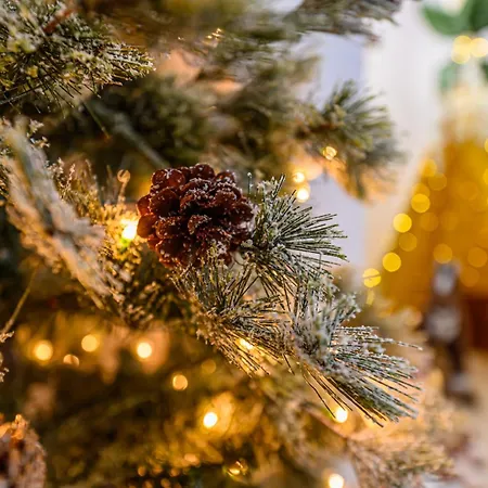 Safari Family Near Park Aventura,lake,zoo * Brasov