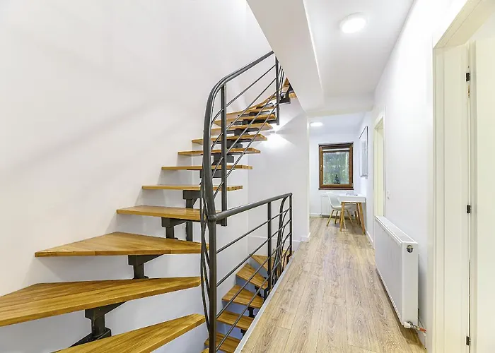 Safari Family Near Park Aventura,lake,zoo * ブラショフ