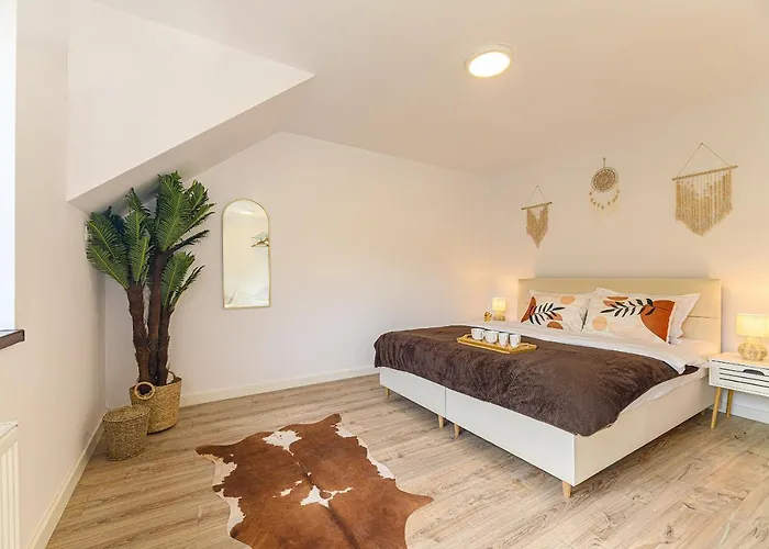 Safari Family Near Park Aventura,lake,zoo Brasov