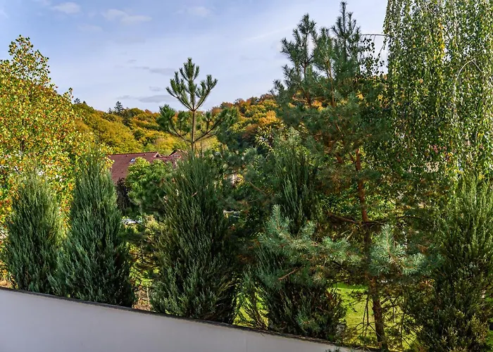 Safari Family Near Park Aventura,lake,zoo *