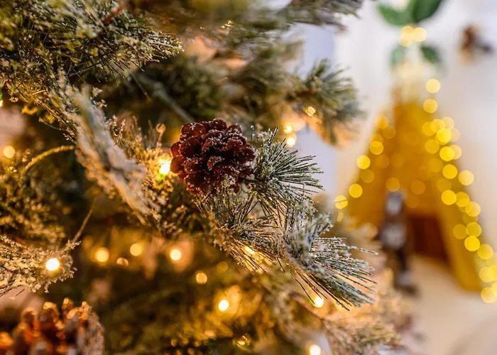 Safari Family Near Park Aventura,lake,zoo * Brasov